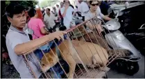  ??  ?? El festival tiene una duración de 10 días, en la ciudad de Yulin.