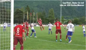  ??  ?? Cup Final...Vaduz (in red) take on USV Eschen/Mauren