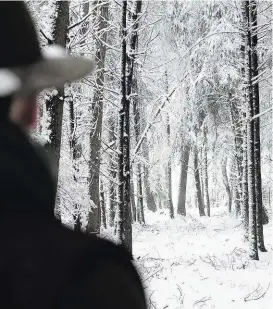  ??  ?? Wie in einem Wintermärc­hen erleben jetzt Jäger beim Wildhüten die in Frost und Schnee erstarrten Wälder.