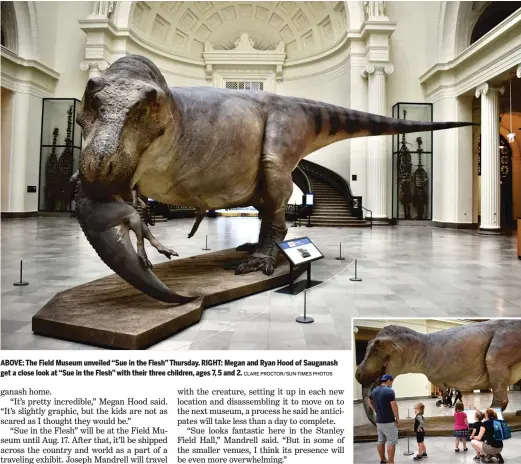  ?? CLARE PROCTOR/SUN-TIMES PHOTOS ?? ABOVE: The Field Museum unveiled “Sue in the Flesh” Thursday. RIGHT: Megan and Ryan Hood of Sauganash get a close look at “Sue in the Flesh” with their three children, ages 7, 5 and 2.