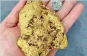  ??  ?? This newly unearthed 1.4 kilogram nugget is valued at almost $100,000 at current gold prices (DM)