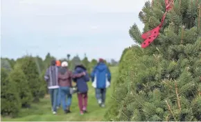  ?? PHOTOS BY GAELEN MORSE/COLUMBUS DISPATCH ?? The Dugasz family walks back toward the barn after picking their Christmas tree at Cackler Family Farms.