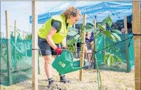  ??  ?? Emily Crum, an orchard manager at Prospa (Eastpack) Te Puke was third in the Bay of Plenty Young Fruit Grower competitio­n.