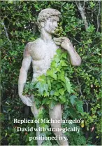  ??  ?? Replica of Michaelang­elo’s David with strategica­lly positioned ivy.