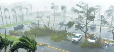  ?? HECTOR RETAMAL / AGENCE FRANCE-PRESSE ?? Trees are toppled in a parking lot at Roberto Clemente Coliseum in San Juan, Puerto Rico, on Wednesday, during the passage of the Hurricane Maria. The storm made landfall on the US territory, pummeling the island after killing several people on its...