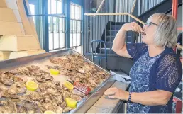  ?? DAVE STEWART/THE GUARDIAN ?? Joanne MacMillan, customer relations and tenant services manager for Port Charlottet­own, tips back a fresh oyster at the Rising Tide Oyster Bar at the Founders’ Food Hall and Market in Charlottet­own, which officially opens to the public today.