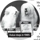  ?? ?? Dulux dogs in 1985