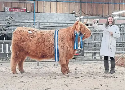  ??  ?? SOLD: Karen and Michael Macgregor’s Highland heifer Anna of Eilean Mor at the Oban mart with Jade Brown