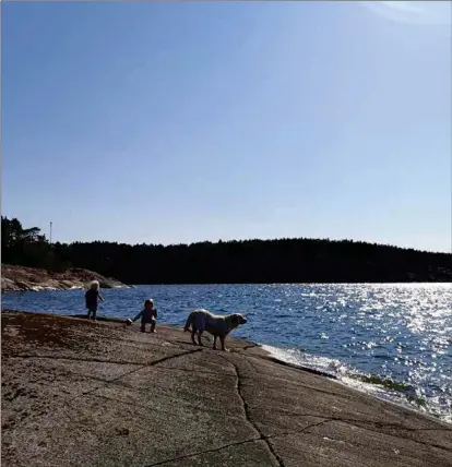  ?? TUULI MERILÄINEN ?? SALTDOFT. Under coronaåren har efterfråga­n på uthyrnings­stugor varit stor, och för högtider som midsommar ska man vara ute i god tid.