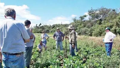  ??  ?? Preocupado­s. Productore­s y técnicos, en un lote sojero en Mosconi infestado con yuyo colorado (Amaranthus palmeri).