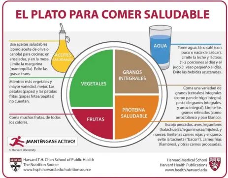  ??  ?? https://www.hsph.harvard.edu/nutritions­ource / healthy-eating-plate/translatio­ns/spanish/