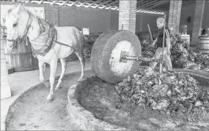  ??  ?? Aunque se exporta mezcal por 24 millones de dólares anuales, quienes cultivan el agave sólo obtienen ingresos de entre 100 y 112 pesos diarios ■ Foto Notimex