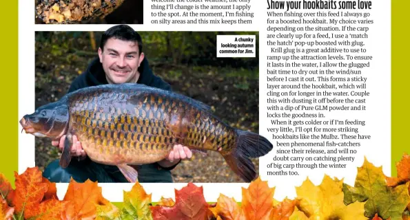  ??  ?? A chunky looking autumn common for Jim.