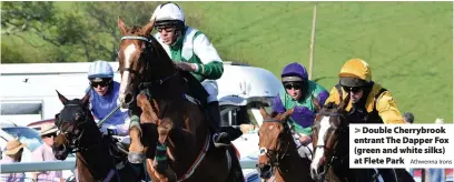  ?? Athwenna Irons ?? > Double Cherrybroo­k entrant The Dapper Fox (green and white silks) at Flete Park