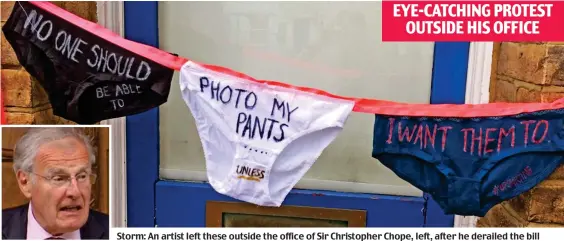  ??  ?? EYE-CATCHING PROTEST OUTSIDE HIS OFFICE Storm: An artist left these outside the office of Sir Christophe­r Chope, left, after he derailed the bill