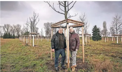  ?? F: H.-J. BAUER ?? Baumschule­n-Leiter Detlef Hüskes und Gartenamts­leiterin Doris Törkel auf dem Feld mit den Messebäume­n, die den Sommer gut überstande­n haben.