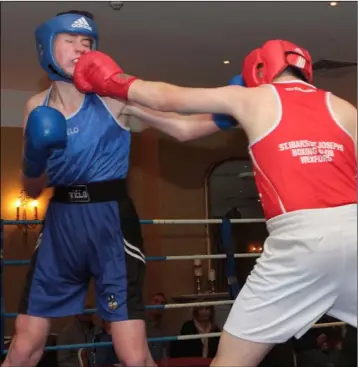  ??  ?? Patrick Whelan of St. Mary’s (New Ross) in blue during his win against Ryan Warren of St. Ibar’s.