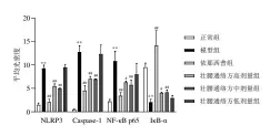  ?? ?? 注：与正常组比较，**P<0.01；与模型组比较，#P<0.05，##P<0.01图7 各组大鼠髓核组织NL­RP3、Caspase-1、NF-κB p65、IκB-α蛋白表达比较（xˉ±s）