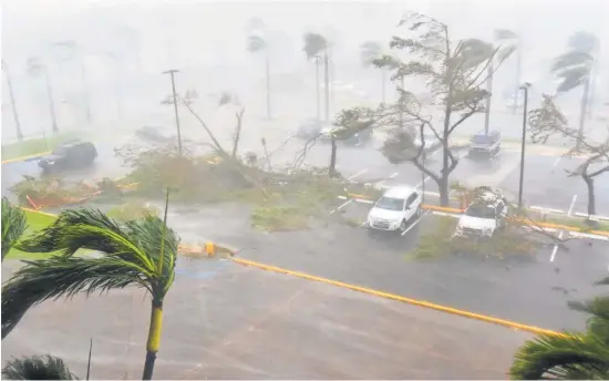  ?? HECTOR RETAMAL, AFP/ GETTY IMAGES ?? Trees are toppled in a parking lot at Roberto Clemente Coliseum in San Juan on Wednesday.