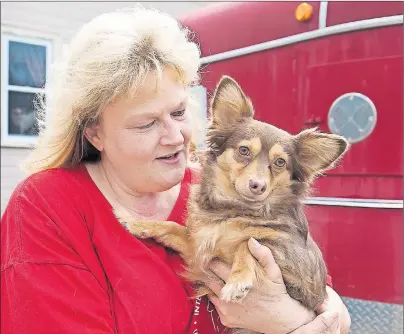  ?? CP PHOTO ?? Angela Welburn holds Boogie at Integrity’s Haven Equine Rescue Centre in Chester Basin, N.S., in this April 23 file photo. Welburn rescues sick and senior animals that would otherwise be put down.