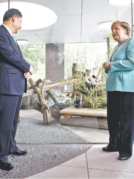  ?? CARSTEN KOALL/EFE ?? Merkel y el presidente chino Xi, junto a un panda en el zoológico de Berlín.