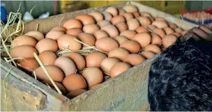  ?? ?? All Island Egg Producers Associatio­n sounds warning about importing eggs from India.
Pic by Akila Jayawardan­a