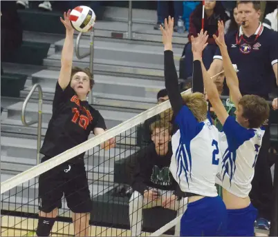  ?? NEWS PHOTO MO CRANKER ?? Chinook boys volleyball player Ty Salmon blows a ball past two Catholic Central defenders Saturday at Medicine Hat High School. Catholic Central won in three sets to win the 4A Zone Finals, while the Chinook girls won the women’s side. Hat High will be...