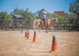  ?? PHOTOS BY GABRIELA CAMPOS/THE NEW MEXICAN ?? U.S. Army veteran Brian Ray guides Roper, a palomino quarter horse, through an obstacle course last week as he learns to be a trainer for Horses for Heroes.