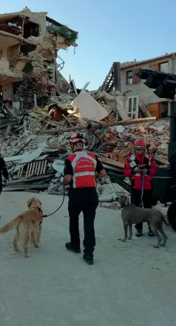  ??  ?? In azione I cinofili dell’Associazio ne nazionale carabinier­i nel centro di Amatrice (Ascoli). Sono rientrati