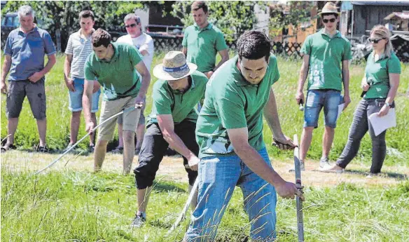  ?? FOTO: AFI ?? Die Landjugend Ellwangen legte sich beim Sensenmähw­ettbewerb in Engelhards­weiler kräftig ins Zeug.