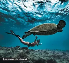 ??  ?? Les mers de Hawaï.