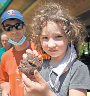  ?? KENNETH K. LAM/BALTIMORE SUN ?? Winnie Wenck, 5, of Cockeysvil­le, Maryland, shows off a chocolate cookie made with crushed cicadas she ate with her dad at Oregon Ridge Nature Center.