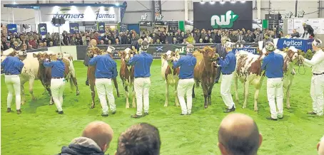  ?? Picture: Ron Stephen. ?? Judges cast their expert eyes and hands over the Ayrshires at AgriScot yesterday. The results from AgriScot will appear in The Courier’s Farming Matters supplement on Saturday.