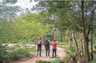  ?? ANGEL VALENTIN / FOR THE MILWAUKEE JOURNAL SENTINEL ?? Visitors walk the grounds of the Miami Beach Botanical Garden where a tourist is believed to have contracted the Zika virus, probably via a mosquito. The bromeliads plants were removed because they collect standing water, where mosquitoes breed.