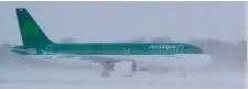  ?? Photos: Mark Condren and PA ?? Top: Gustavo Santos and Áine Harty, front row, Sarah Devoy, Derek Reynolds, Mark Dalton and Stephen Forsyth, back, from Dublin, had their flight cancelled at Dublin Airport. Above: An Aer Lingus plane on the runway.