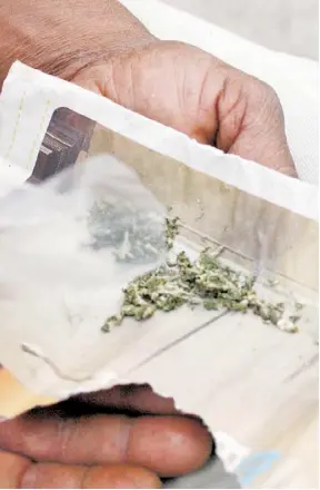  ?? Fotos/ Jesús Gutiérrez ?? La marihuana al igual que drogas sintéticas causan adicción.