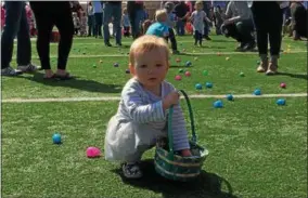  ??  ?? Blake Zuis, 14 months old, fills a basket with eggs at the Great Schuylervi­lle Egg Hunt.