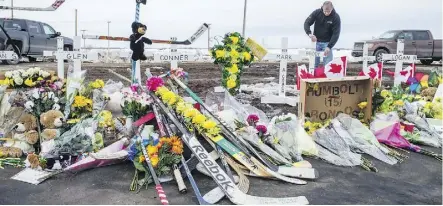  ?? BRANDON HARDER ?? Rocky Salisbury of Nipawin, Sask., sets up crosses at the intersecti­on of highways 35 and 335, where the Humboldt Broncos’ bus and a semi-trailer truck collided on April 6, killing 16 people.