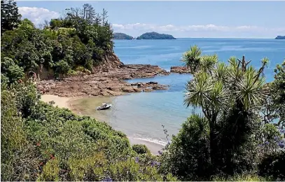  ?? SUPPLIED ?? Waitete Bay in the Coromandel is an easy spot to try the rock-hopping activity of coasteerin­g.