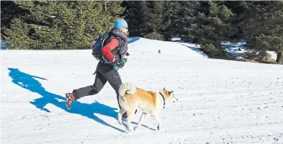  ?? BLAZEJ LYJAK DREAMSTIME ?? Packing water, using a sturdy leash and considerin­g dogs’ foot safety are three crucial steps for running with a canine companion.