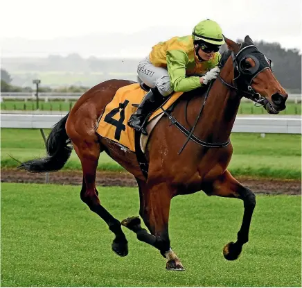  ?? RACE IMAGES ?? Pacorus will be at Te Rapa and along with Lewis Caroll could be at Riccarton in November.