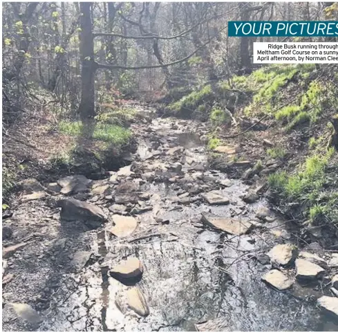  ??  ?? Ridge Busk running through Meltham Golf Course on a sunny April afternoon, by Norman Clee