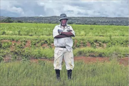  ?? Photos: Lucas Ledwaba/mukurukuru Media ?? ‘Nie nodig nie’: Farmer and land-claim beneficiar­y Petrus Tlhangi Mmako is worried about the effect of the invasions on his farming operation.