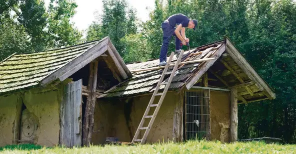  ?? RP-FOTOS: ACHIM BLAZY ?? Arbeit satt am NAchbau des Eisenzeitl­ichen Gehöfts: Julian Winkelhane repariert das Dach des Backhauses.