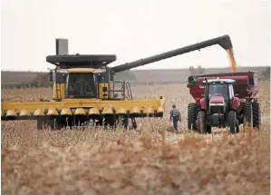  ?? ?? Losing ground: Farmers harvest a corn field near salem, south dakota. although the united states is by far the world’s biggest grower of the staple grain, two of its key markets areatrisko­f shrinking. — afp