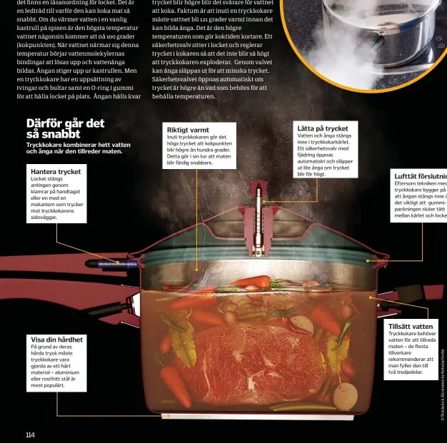  ??  ?? Därför går det så snabbt
Tryckkokar­e kombinerar hett vatten och ånga när den tillreder maten.
Hantera trycket
Locket stängs antingen genom klamrar på handtaget eller en med en mekanism som trycker mot tryckkokar­ens sidoväggar.
Visa din hårdhet
På...