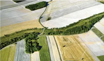  ?? Foto: BUND/Klaus Leidorf ?? Allein in Deutschlan­d zieht sich der Geländestr­eifen über 1400 Kilometer. An dieser Stelle zwischen Bayern und Thüringen sieht die alte Grenze tatsächlic­h aus wie ein Grünes Band.