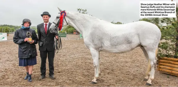  ??  ?? Show judge Heather Milner with Seamus Duffy and his champion mare Kilmovee White Savannagh at the recent Wicklow Branch of the IDHBA Annual Show