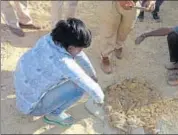  ?? HT PHOTO ?? Forest department officials recover remains of chinkaras allegedly poached at Jalipa village in Barmer district.