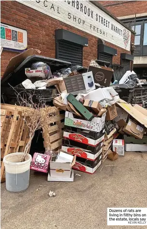  ?? KEVIN KELLY ?? Dozens of rats are living in filthy bins on the estate, locals say